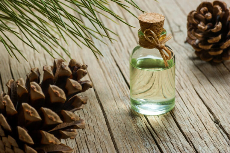 Turpentine Oil (Sarala): The Warming Pine Essence for Deep Pain Relief